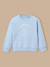 Sweat surf garçon - coton biologique Ciel 1 - vertbaudet enfant 