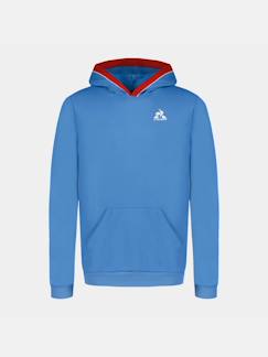 -Sweat à capuche tricolore