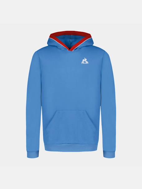 Garçon-Pull, gilet, sweat-Sweat à capuche tricolore