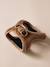 Set promenade pour chien : harnais + laisse + collier café+chocolat 16 - vertbaudet enfant 