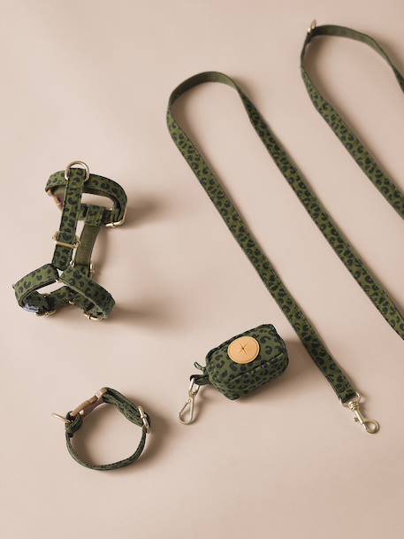 Set promenade pour chien kaki 2 - vertbaudet enfant 