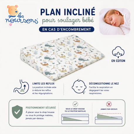 Pack matelas bébé 60x120 cm + plan incliné coton sweety - confort souple et position idéale Bleu+Rose 9 - vertbaudet enfant 