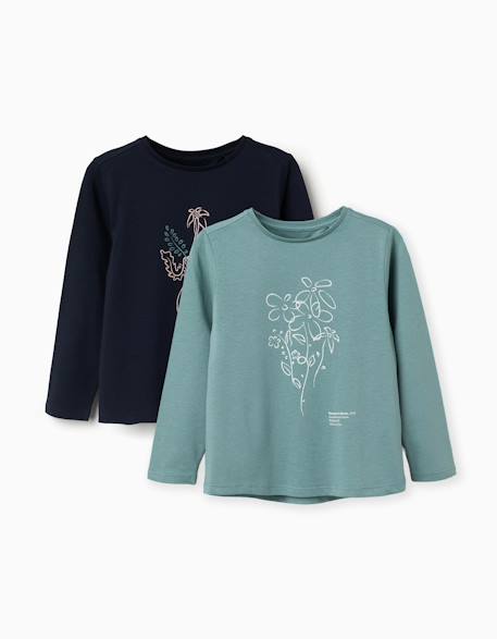 Fille-T-shirt, sous-pull-Lot de 2 t-shirts à manches longues avec imprimés de l'art