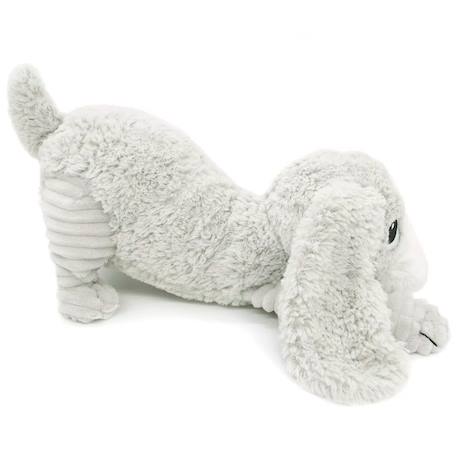 Peluche enfant chien Chien gris clair 4 - vertbaudet enfant 