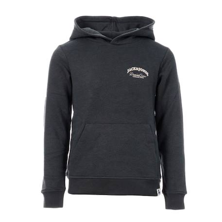 Sweat garçon à capuche brandes Beige+Bleu+Gris 8 - vertbaudet enfant 