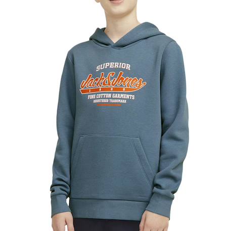Sweat à capuche Bleu 2 - vertbaudet enfant 