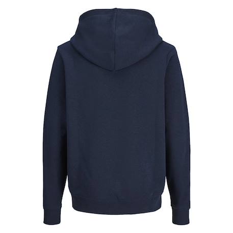 Sweat à capuche garçon hood Bleu+Gris+Marine 11 - vertbaudet enfant 