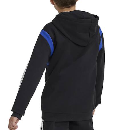Sweat à capuche garçon Noir 3 - vertbaudet enfant 