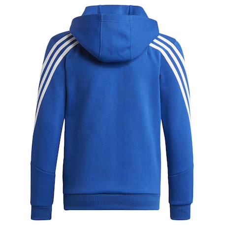 Sweat à capuche zippé garçon Bleu 3 - vertbaudet enfant 
