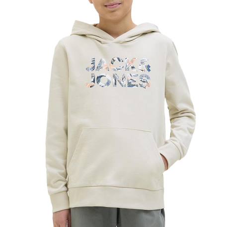 Sweat garçon à capuche bryan Beige+Noir 4 - vertbaudet enfant 