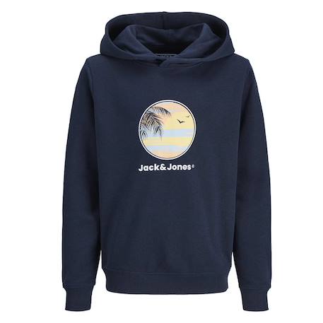 Sweat à capuche garçon hood Bleu+Gris+Marine 10 - vertbaudet enfant 