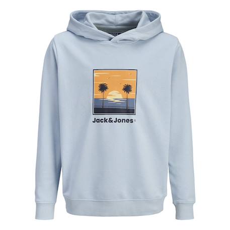 Sweat à capuche garçon hood Bleu+Gris+Marine 2 - vertbaudet enfant 