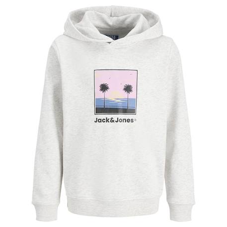 Sweat à capuche garçon hood Bleu+Gris+Marine 6 - vertbaudet enfant 