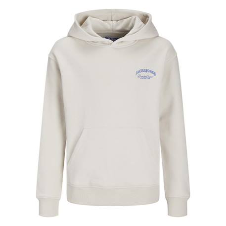 Sweat garçon à capuche brandes Beige+Bleu+Gris 2 - vertbaudet enfant 