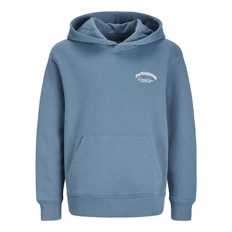 Sweat garçon à capuche brandes Beige+Bleu+Gris 5 - vertbaudet enfant 