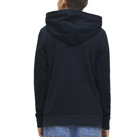Sweat garçon à capuche bryan Beige+Noir 8 - vertbaudet enfant 