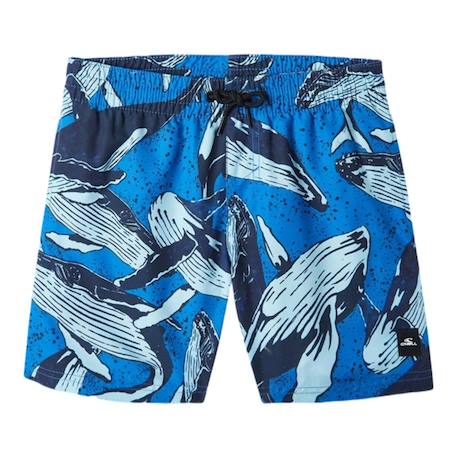 Maillot de bain garçon cali Bleu+Noir 2 - vertbaudet enfant 