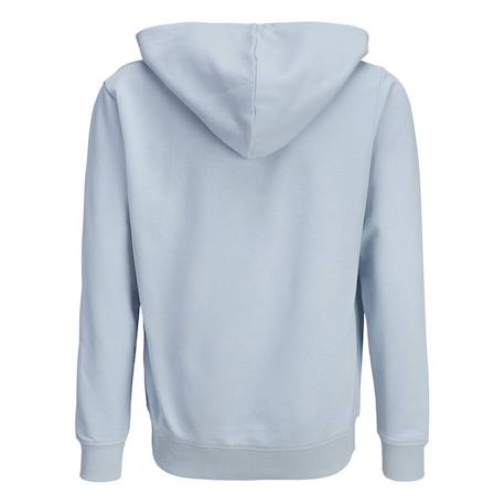 Sweat à capuche garçon hood Bleu+Gris+Marine 3 - vertbaudet enfant 