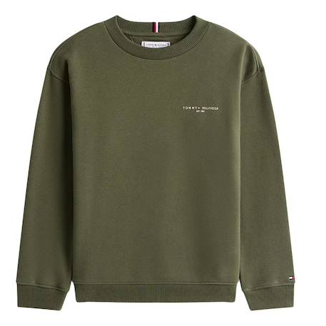 Sweat garçon mini corp Vert 3 - vertbaudet enfant 