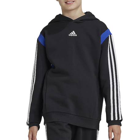 Sweat à capuche garçon Noir 2 - vertbaudet enfant 