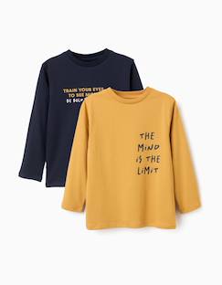 Garçon-T-shirt, polo, sous-pull-T-shirt-Lot de 2 t-shirts à manches longues avec imprimés