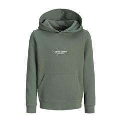 -Sweat à capuche garçon vesterbro