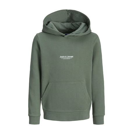 Garçon-Pull, gilet, sweat-Sweat à capuche garçon vesterbro