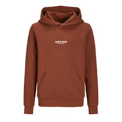 -Sweat à capuche garçon vesterbro