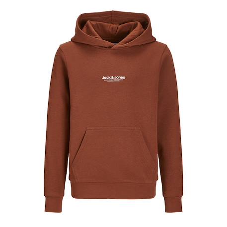 Sweat à capuche garçon vesterbro Beige+Bleu+Bleu vert+Gris+Kaki+Marron+Noir 15 - vertbaudet enfant 
