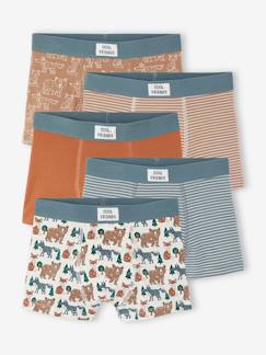 -Lot de 5 boxers garçon