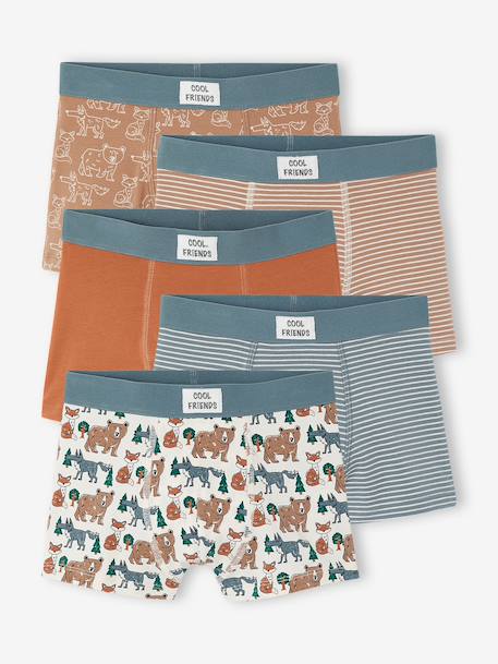Lot de 5 boxers garçon beige 1 - vertbaudet enfant 