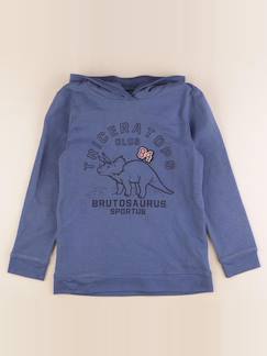 Seconde main-Garçon-Pull, gilet, sweat-Sweat - 12 ans