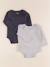 Lot de 2 bodies en coton - 6 mois Bleu, gris 1 - vertbaudet enfant 