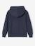 Pull à capuche garçon bleu chiné 2 - vertbaudet enfant 
