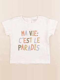 Seconde main-Garçon-T-shirt, polo, sous pull-Tee-shirt - 24 mois
