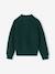 Pull col montant garçon bleu chiné 4 - vertbaudet enfant 
