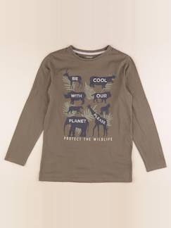 Seconde main-Garçon-T-shirt, polo, sous pull-Tee-shirt - 12 ans