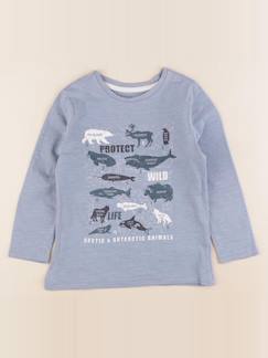 Seconde main-Garçon-T-shirt, polo, sous pull-Tee-shirt - 5 ans