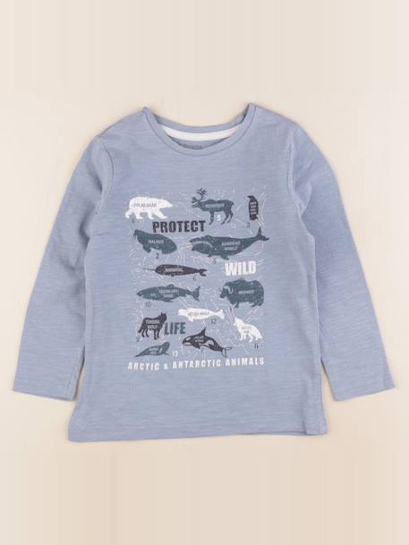 Tee-shirt - 5 ans Bleu 1 - vertbaudet enfant 