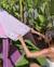 Tente de plage enfant avec filet respirant Multicolore+Rose 8 - vertbaudet enfant 