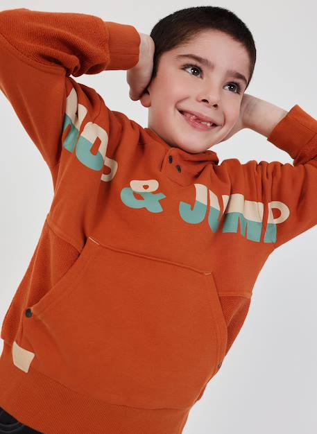 Sweat-shirt enfant en coton à capuche Marron 1 - vertbaudet enfant 