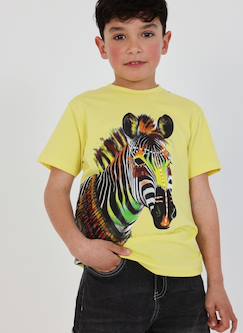 Garçon-T-shirt, polo, sous-pull-T-shirt enfant coton zèbre