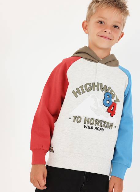 Sweat-shirt molleton garçon à capuche highway 84  - vertbaudet enfant