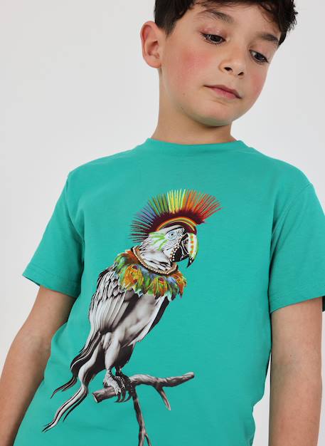 T-shirt enfant coton perroquet Vert 1 - vertbaudet enfant 