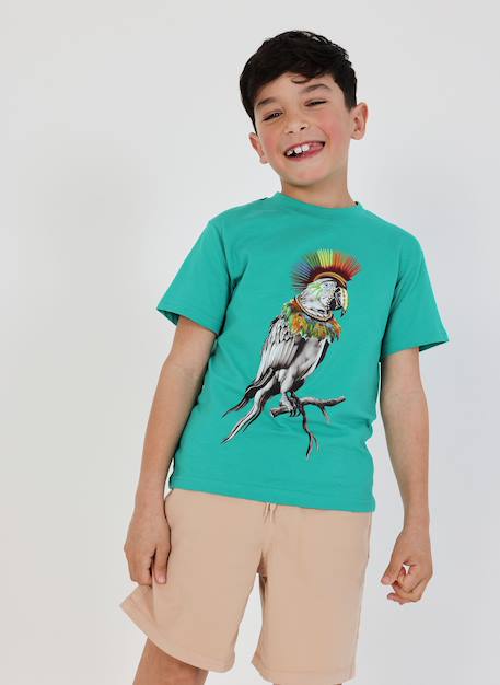 Bermuda garçon en coton Marron 1 - vertbaudet enfant 