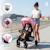 Poussette cadix Huile+Noir+Rose 5 - vertbaudet enfant 