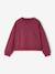 Ensemble sweat et pantalon jogging fille prune 2 - vertbaudet enfant 