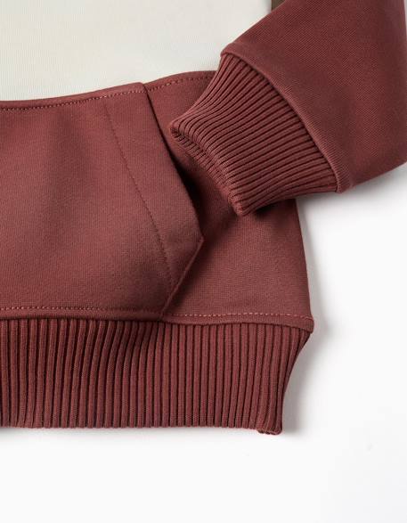 Sweat en molleton à capuche et blocs de couleur Marron 4 - vertbaudet enfant 