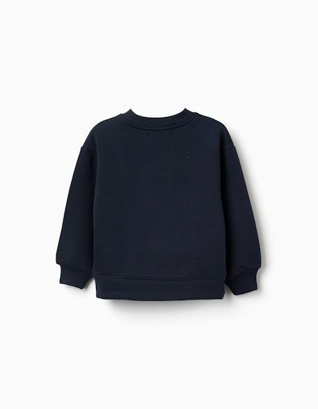 Sweat en coton peigné avec motif art et nature Blanc+Bleu foncé+Marron+Vert clair 6 - vertbaudet enfant 