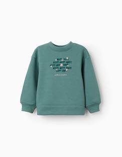 Sweat en coton peigné avec motif art et nature  - vertbaudet enfant